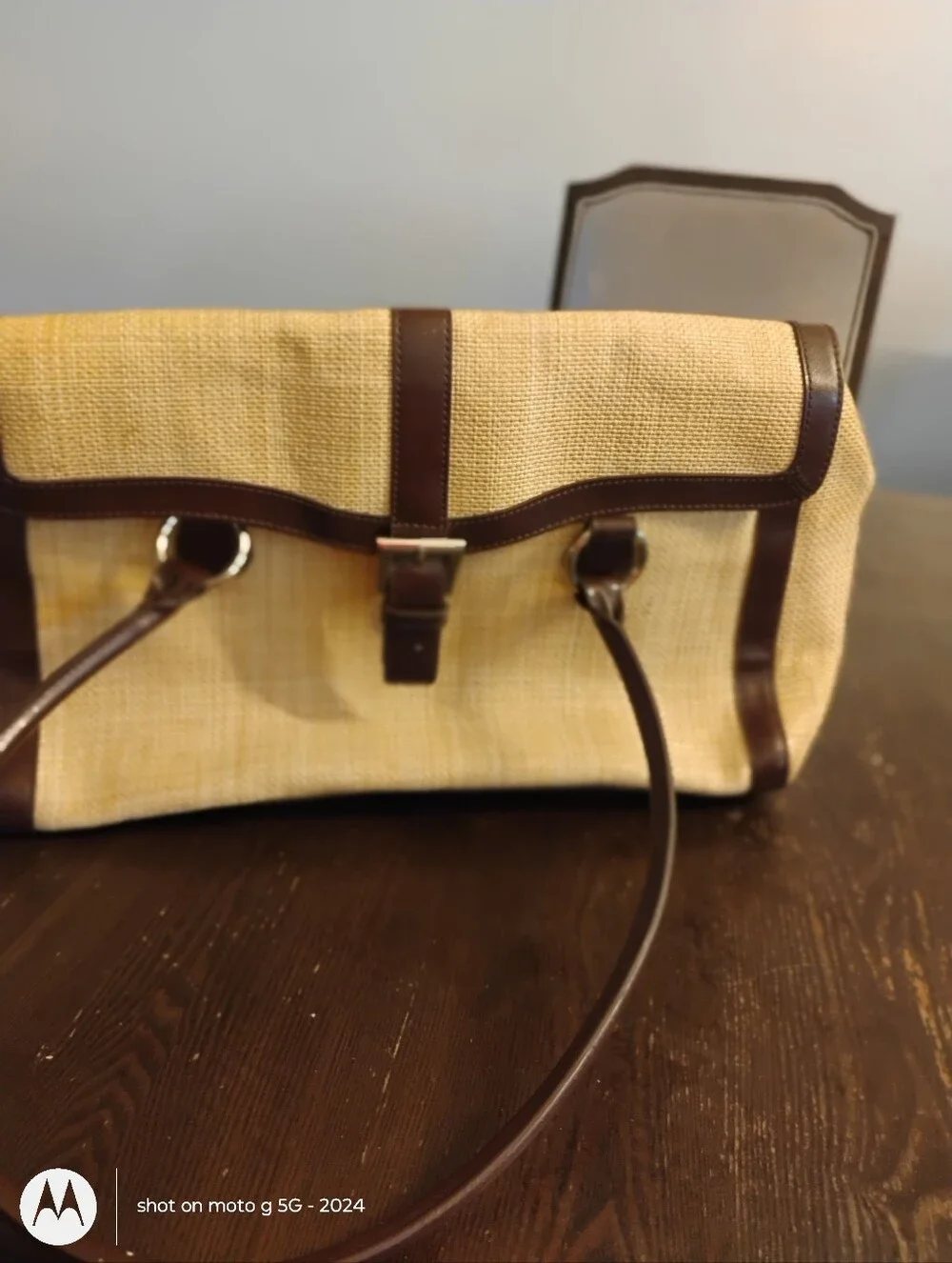 Banana Republic Bag